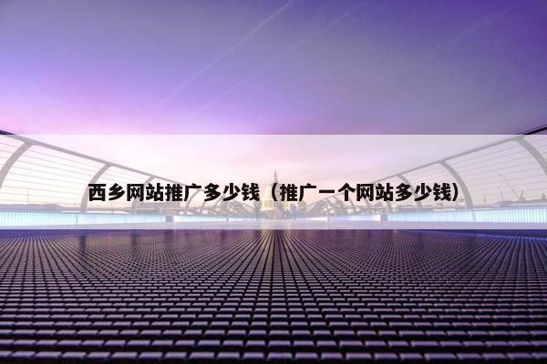 西乡网站推广多少钱（推广一个网站多少钱）