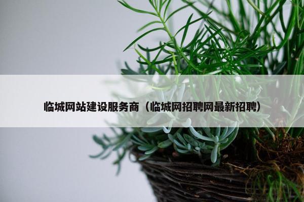 临城网站建设服务商（临城网招聘网最新招聘）