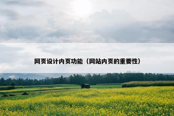 网页设计内页功能（网站内页的重要性）