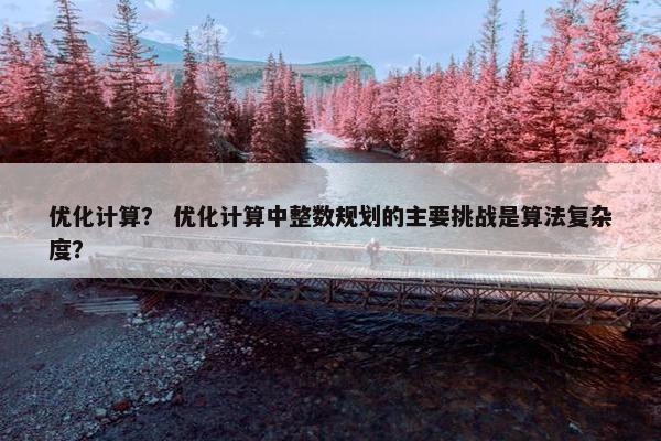 优化计算？ 优化计算中整数规划的主要挑战是算法复杂度？