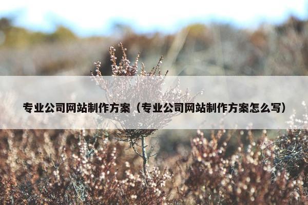 专业公司网站制作方案（专业公司网站制作方案怎么写）
