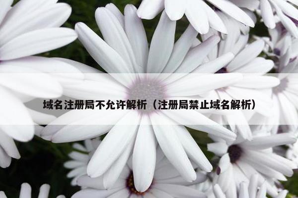 域名注册局不允许解析（注册局禁止域名解析）