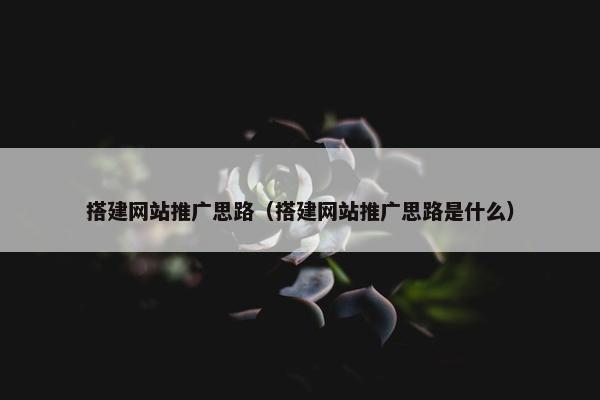 搭建网站推广思路（搭建网站推广思路是什么）