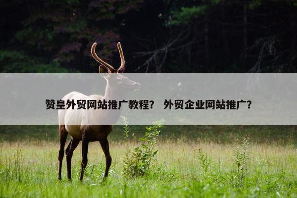 赞皇外贸网站推广教程？ 外贸企业网站推广？