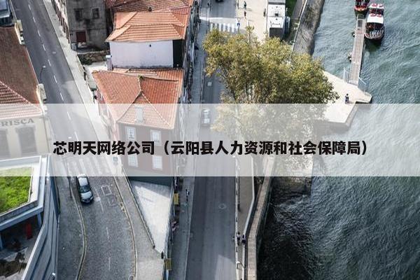 芯明天网络公司（云阳县人力资源和社会保障局）