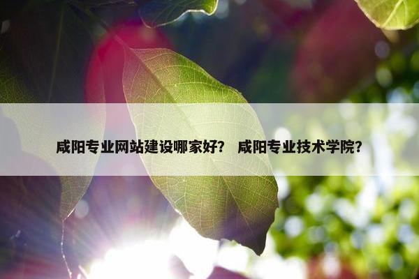 咸阳专业网站建设哪家好？ 咸阳专业技术学院？