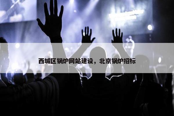 西城区锅炉网站建设，北京锅炉招标