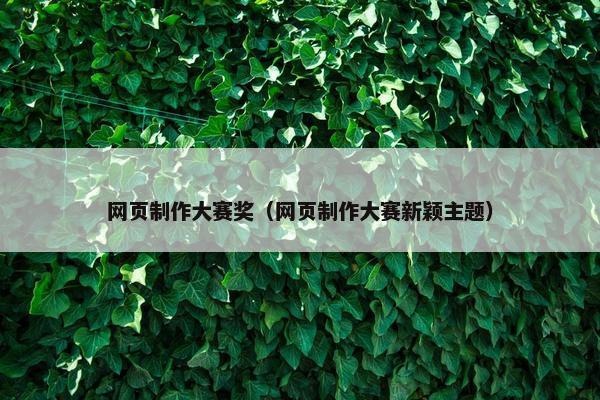 网页制作大赛奖（网页制作大赛新颖主题）
