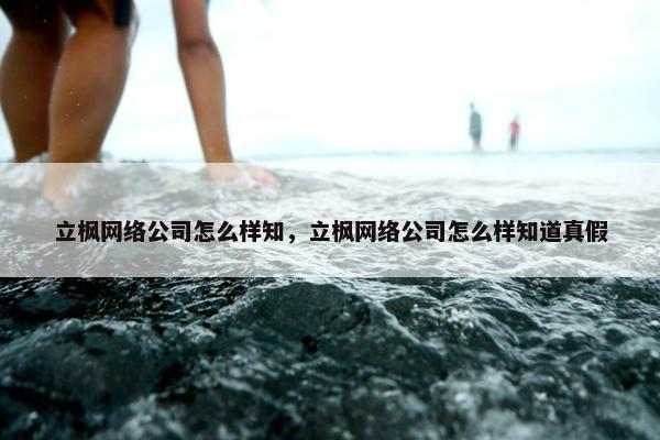 立枫网络公司怎么样知，立枫网络公司怎么样知道真假