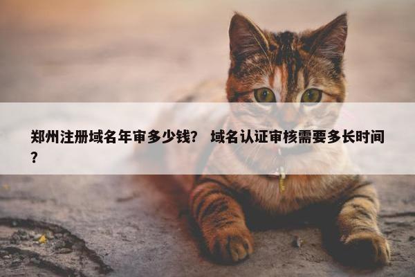 郑州注册域名年审多少钱？ 域名认证审核需要多长时间？