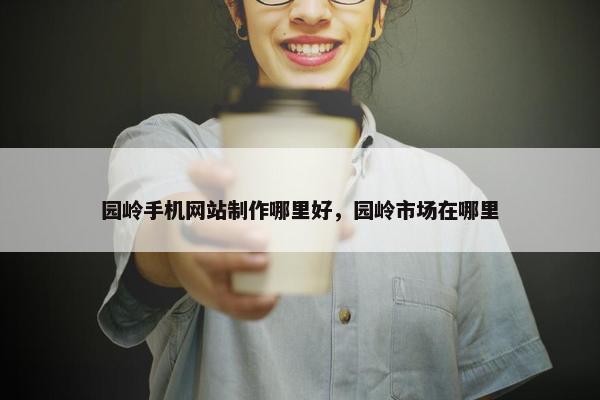 园岭手机网站制作哪里好，园岭市场在哪里