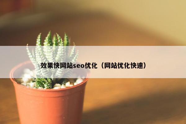 效果快网站seo优化（网站优化快速）