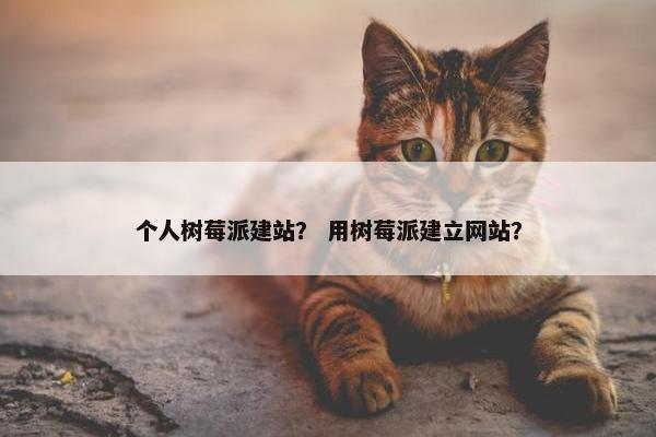 个人树莓派建站？ 用树莓派建立网站？