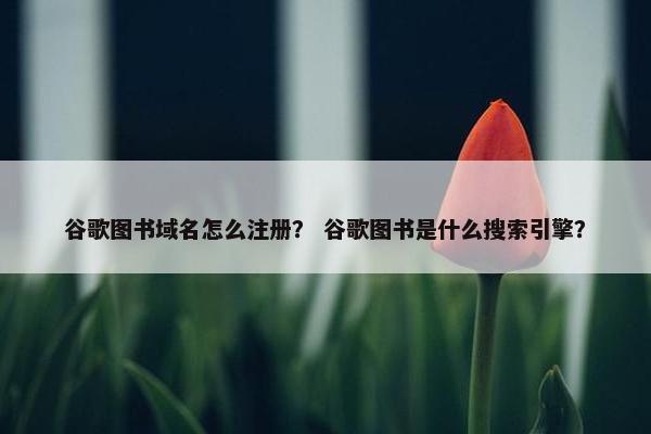 谷歌图书域名怎么注册？ 谷歌图书是什么搜索引擎？