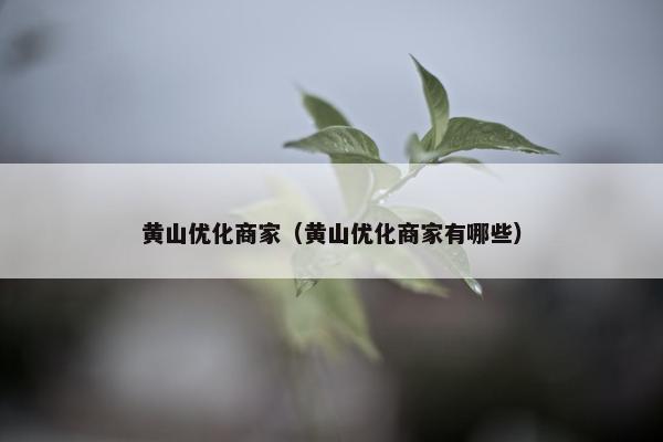 黄山优化商家（黄山优化商家有哪些）