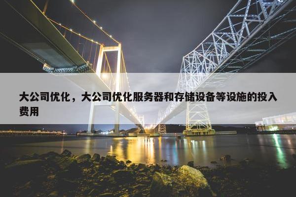 大公司优化，大公司优化服务器和存储设备等设施的投入费用
