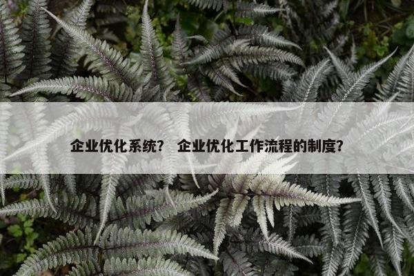企业优化系统？ 企业优化工作流程的制度？