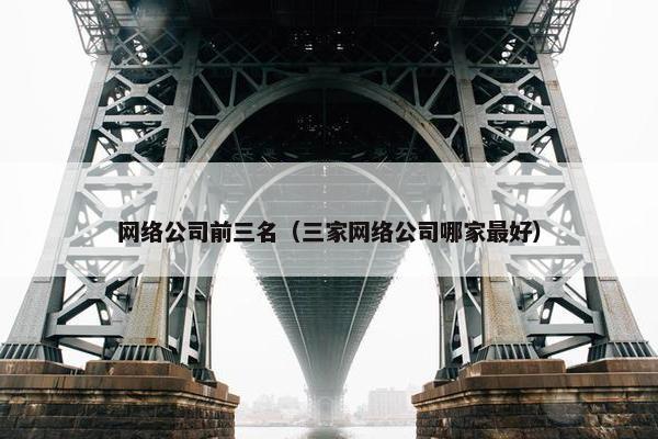 网络公司前三名（三家网络公司哪家最好）