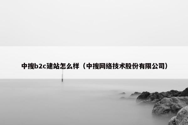 中搜b2c建站怎么样（中搜网络技术股份有限公司）