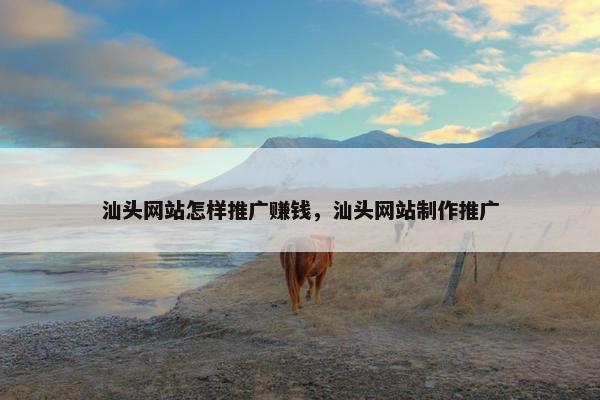 汕头网站怎样推广赚钱，汕头网站制作推广