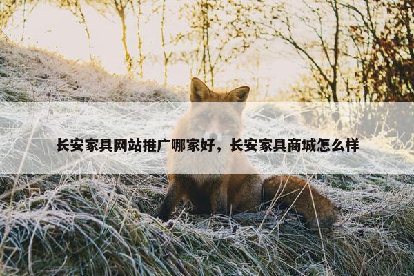 长安家具网站推广哪家好，长安家具商城怎么样