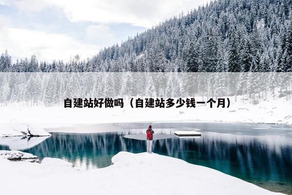 自建站好做吗（自建站多少钱一个月）