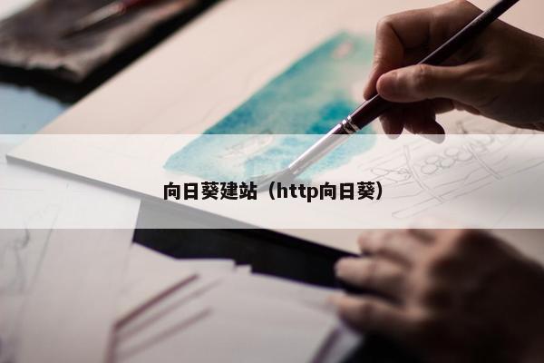 向日葵建站（http向日葵）