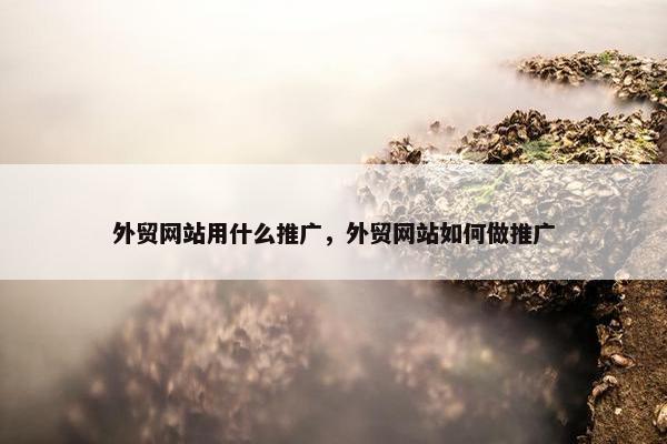 外贸网站用什么推广，外贸网站如何做推广