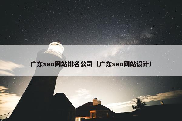 广东seo网站排名公司（广东seo网站设计）