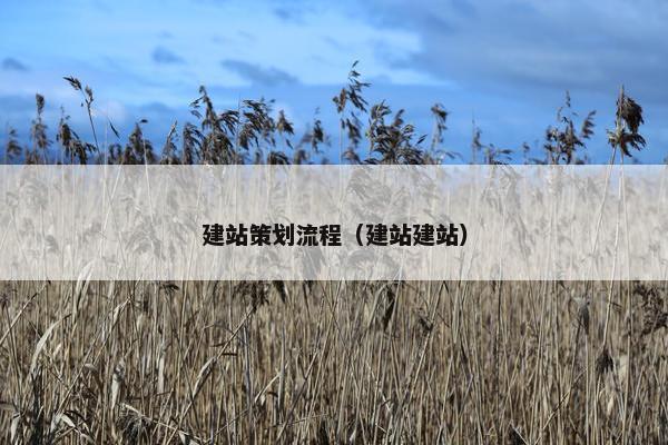 建站策划流程（建站建站）