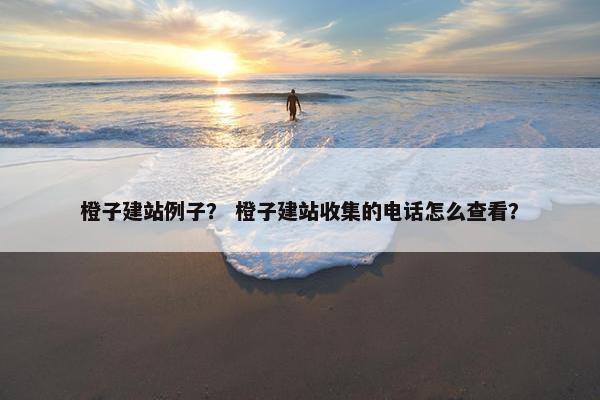 橙子建站例子？ 橙子建站收集的电话怎么查看？