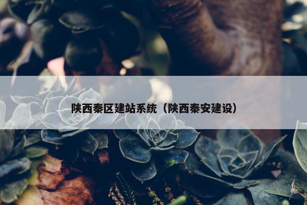 陕西秦区建站系统（陕西秦安建设）