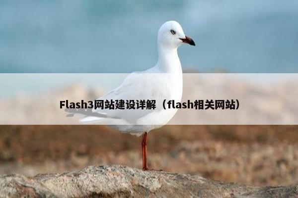 Flash3网站建设详解（flash相关网站）