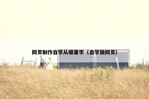 网页制作自学从哪里学（自学做网页）