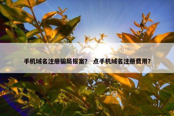 手机域名注册骗局报案？ 点手机域名注册费用？