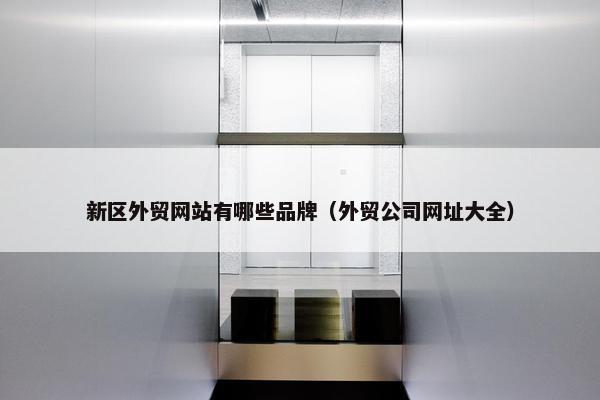 新区外贸网站有哪些品牌（外贸公司网址大全）