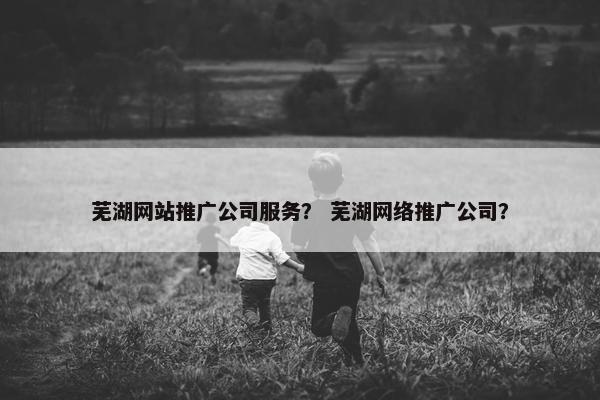 芜湖网站推广公司服务？ 芜湖网络推广公司？