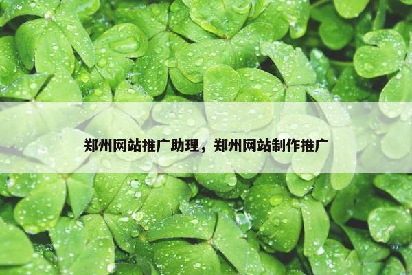 郑州网站推广助理，郑州网站制作推广