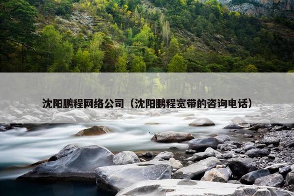 沈阳鹏程网络公司（沈阳鹏程宽带的咨询电话）
