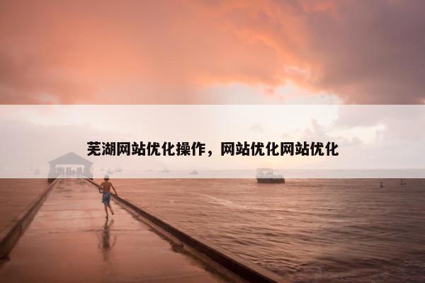 芜湖网站优化操作，网站优化网站优化