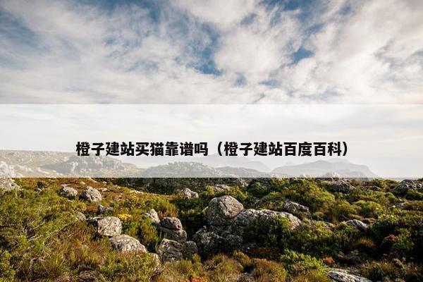橙子建站买猫靠谱吗（橙子建站百度百科）