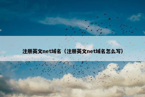 注册英文net域名（注册英文net域名怎么写）