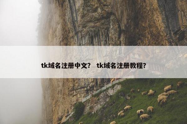tk域名注册中文？ tk域名注册教程？