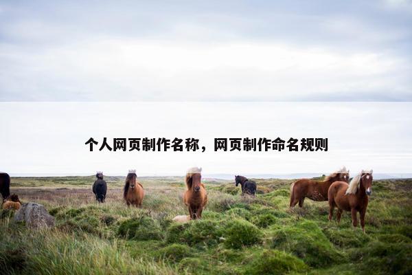 个人网页制作名称，网页制作命名规则