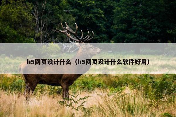 h5网页设计什么（h5网页设计什么软件好用）