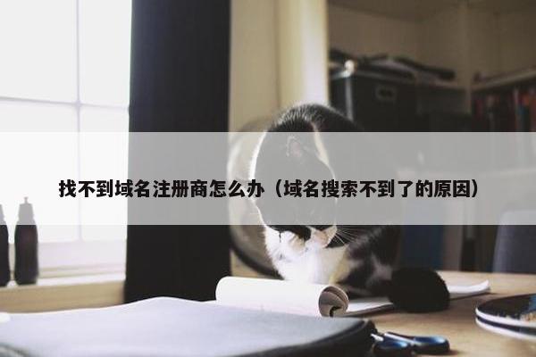 找不到域名注册商怎么办（域名搜索不到了的原因）