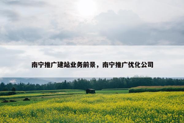 南宁推广建站业务前景，南宁推广优化公司