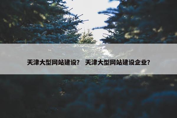 天津大型网站建设？ 天津大型网站建设企业？