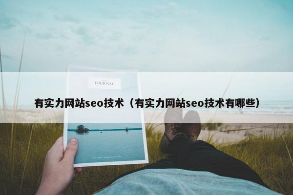 有实力网站seo技术（有实力网站seo技术有哪些）