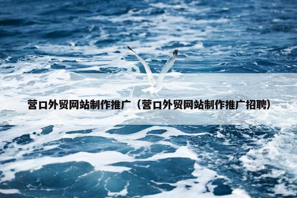 营口外贸网站制作推广（营口外贸网站制作推广招聘）